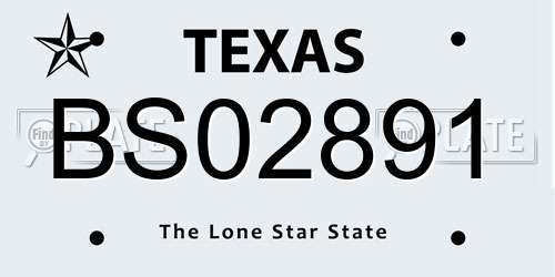 BS02891 Texas License Plate