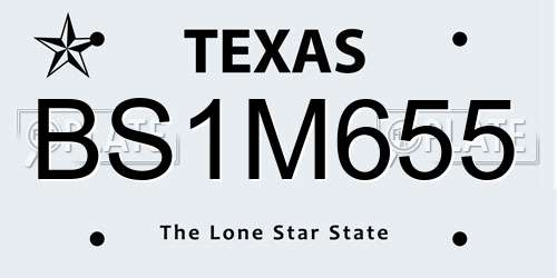 BS1M655 Texas License Plate