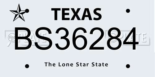 BS36284 Texas License Plate