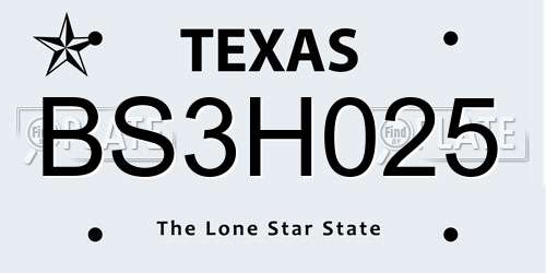 BS3H025 Texas License Plate