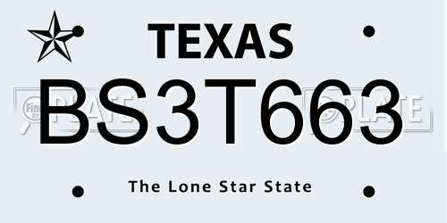 BS3T663 Texas License Plate