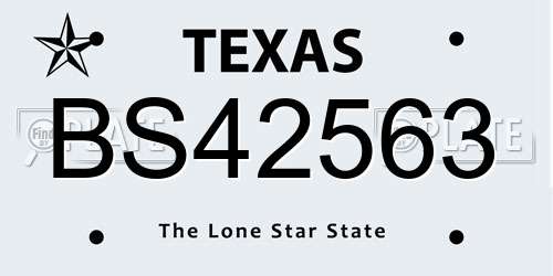 BS42563 Texas License Plate