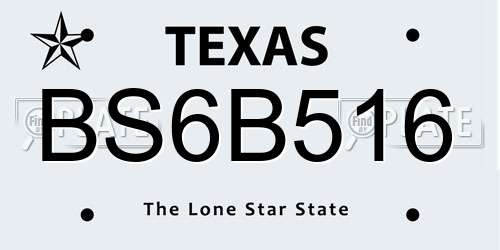 BS6B516 Texas License Plate