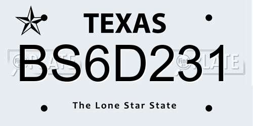 BS6D231 Texas License Plate