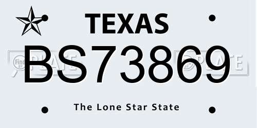 BS73869 Texas License Plate