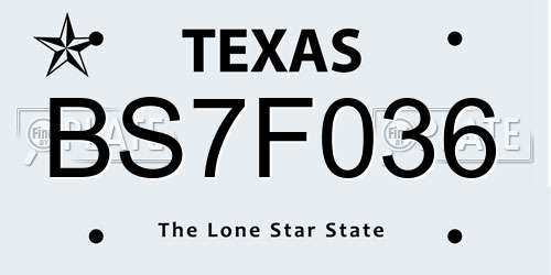 BS7F036 Texas License Plate