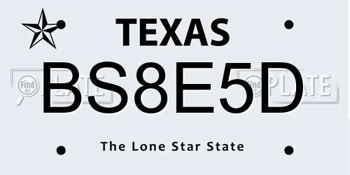 BS8E5D Texas License Plate