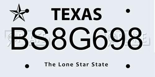 BS8G698 Texas License Plate