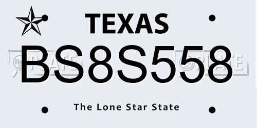 BS8S558 Texas License Plate