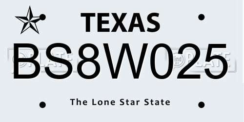 BS8W025 Texas License Plate