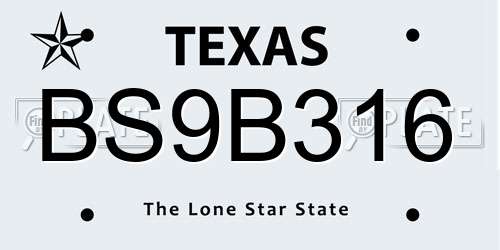BS9B316 Texas License Plate