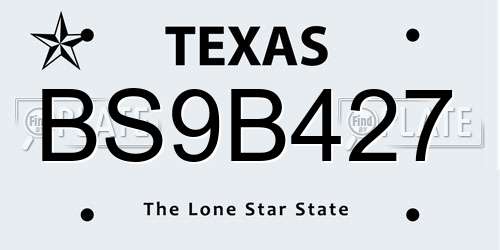 BS9B427 Texas License Plate