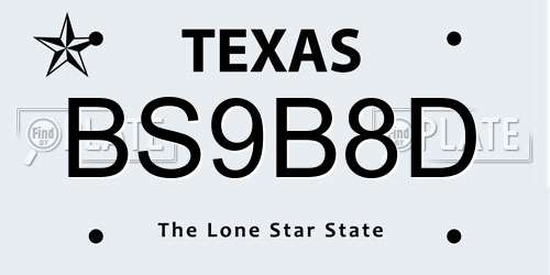 BS9B8D Texas License Plate