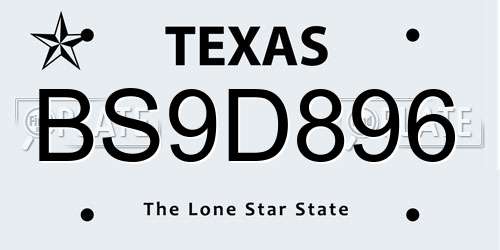 BS9D896 Texas License Plate