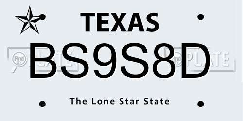 BS9S8D Texas License Plate