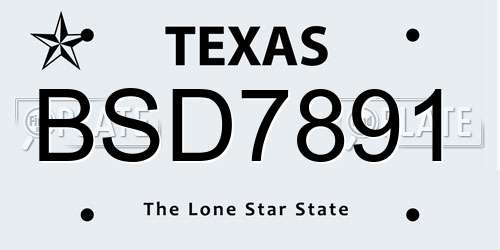BSD7891 Texas License Plate