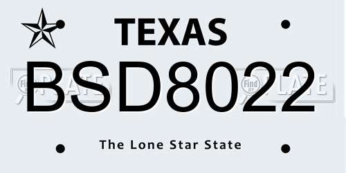 BSD8022 Texas License Plate