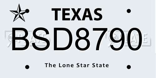 BSD8790 Texas License Plate