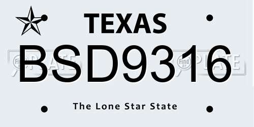 BSD9316 Texas License Plate