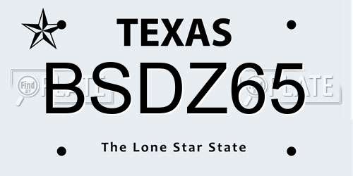 BSDZ65 Texas License Plate
