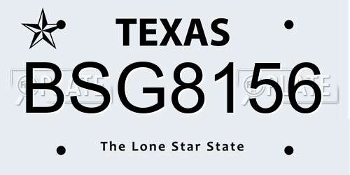 BSG8156 Texas License Plate
