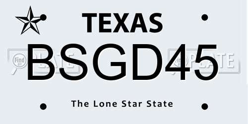 BSGD45 Texas License Plate