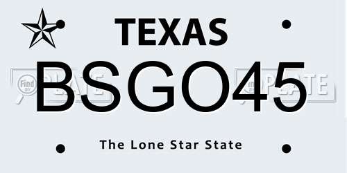 BSGO45 Texas License Plate