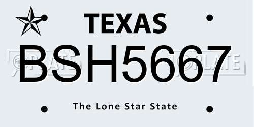 BSH5667 Texas License Plate