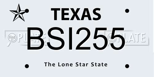 BSI255 Texas License Plate