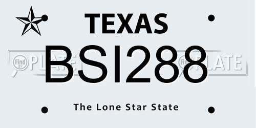 BSI288 Texas License Plate