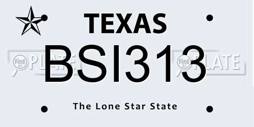 BSI313 Texas License Plate