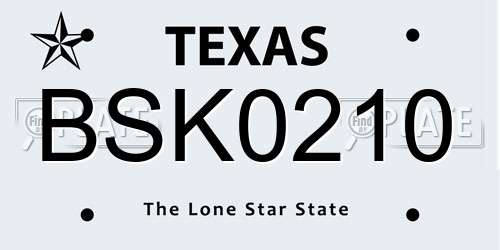BSK0210 Texas License Plate