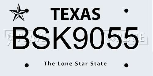 BSK9055 Texas License Plate