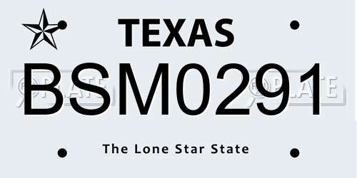 BSM0291 Texas License Plate