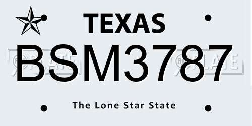 BSM3787 Texas License Plate