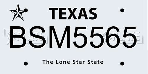 BSM5565 Texas License Plate