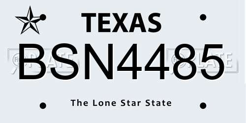 BSN4485 Texas License Plate