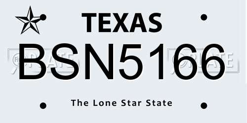 BSN5166 Texas License Plate