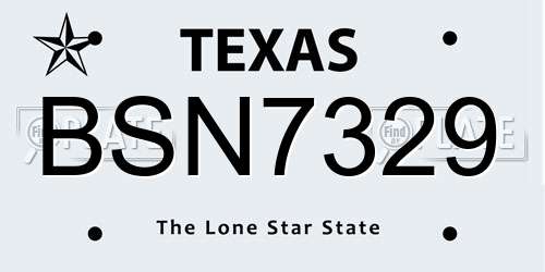 BSN7329 Texas License Plate