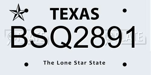 BSQ2891 Texas License Plate