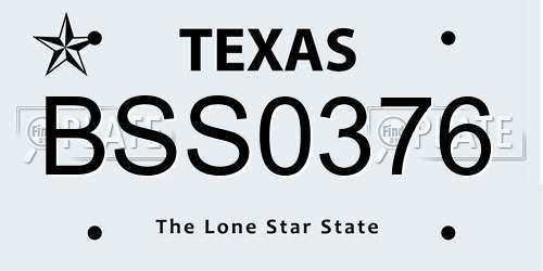 BSS0376 Texas License Plate