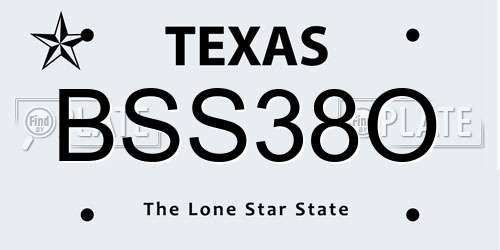 BSS38O Texas License Plate