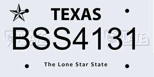 BSS4131 Texas License Plate