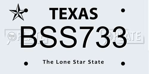 BSS733 Texas License Plate