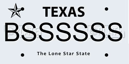 BSSSSSS Texas License Plate