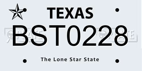 BST0228 Texas License Plate