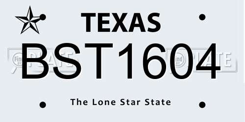 BST1604 Texas License Plate
