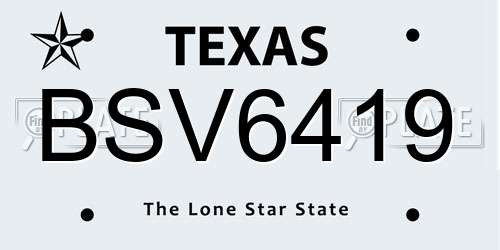 BSV6419 Texas License Plate