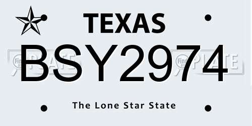 BSY2974 Texas License Plate