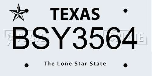 BSY3564 Texas License Plate